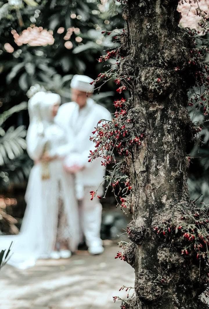 Portofolio Bride Assistant by Dira 8
